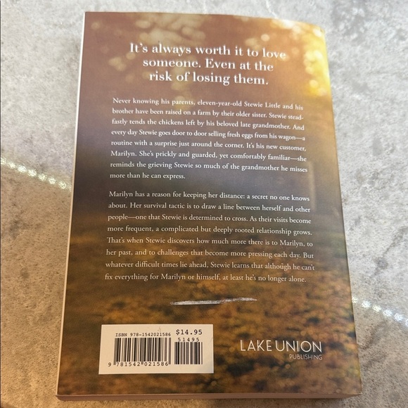 Dreaming of Flight Paperback book by Catherine Ryan Hyde. Pre-owned. - Picture 2 of 4